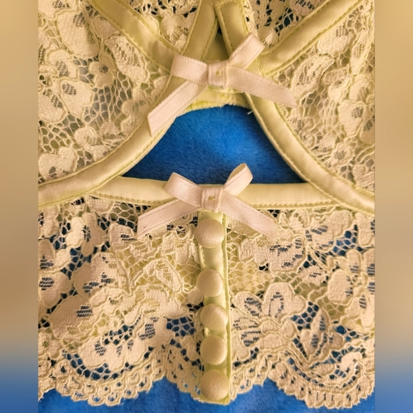 💚 38C For Love and Lemons Creamsicle Lace Underwire Bustier Bra 💚 - Picture 7 of 12